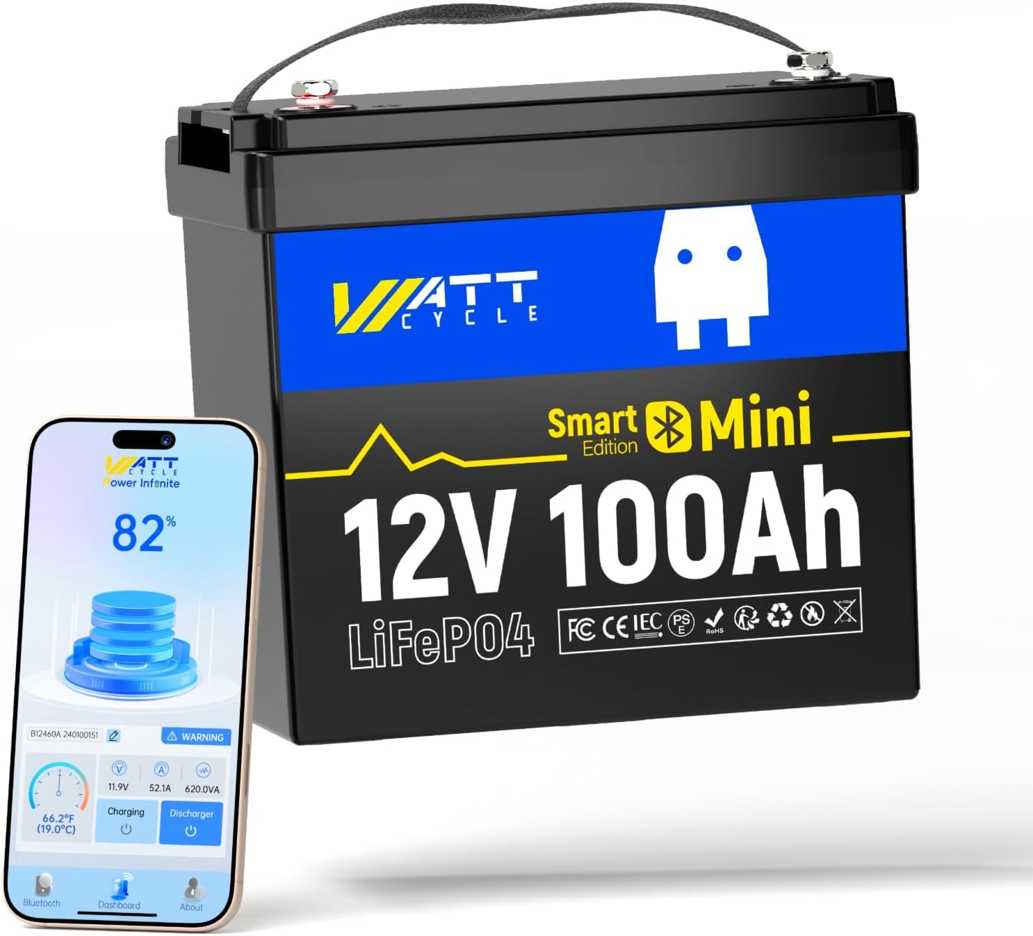 12V 100Ah Mini LiFePO4 Battery - Lifepo4 12V 100Ah Bms Bluetooth 评论和价格